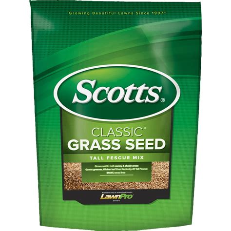 Scotts seed. Things To Know About Scotts seed. 